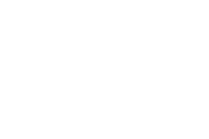 BT logo